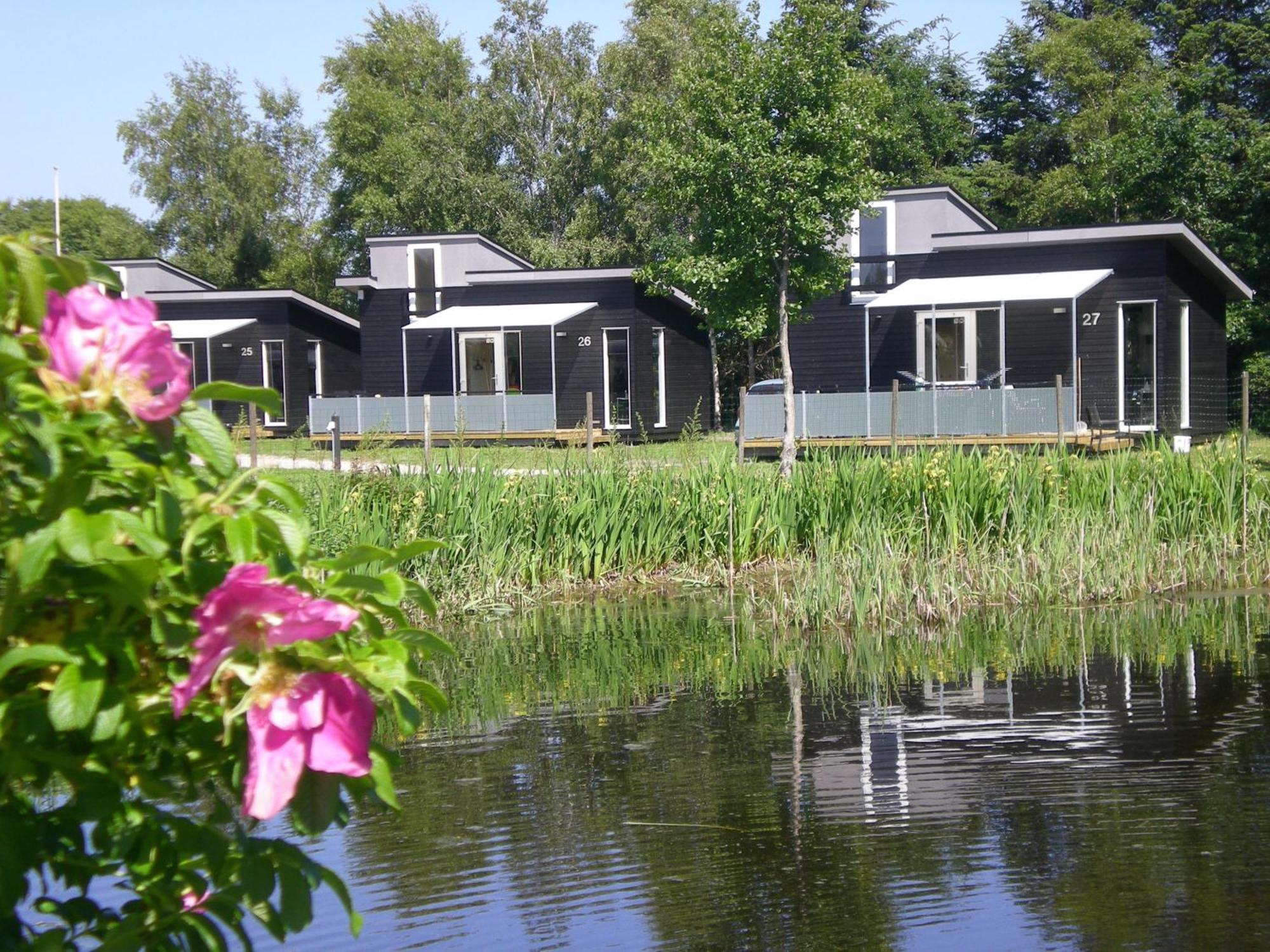 Asaa Camping & Cottages Oda fotoğraf